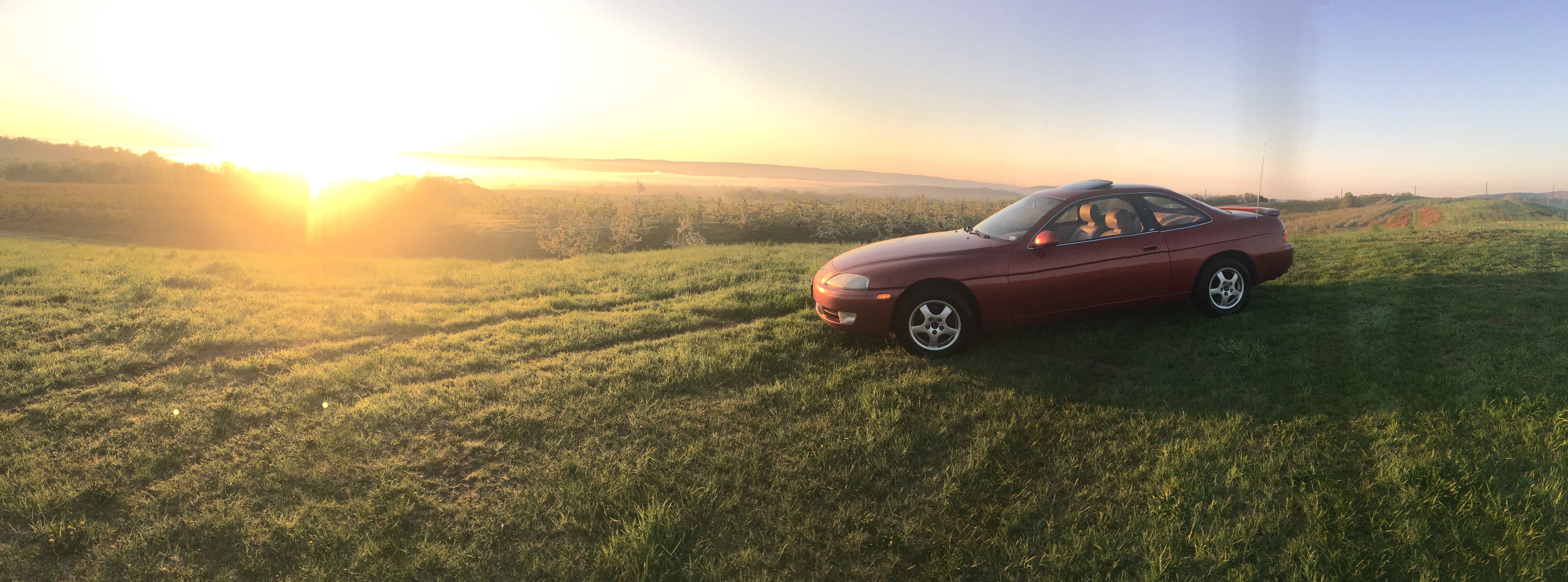 1993 Lexus SC 300 – Supra-Platform 2JZ GT Coupe, Refined Rear-Drive Lexus Classic — hero